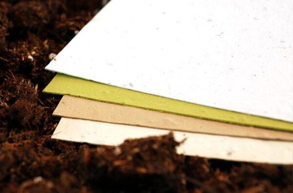 Seed Paper & Biodegradable Confetti | Catalog | Botanical PaperWorks